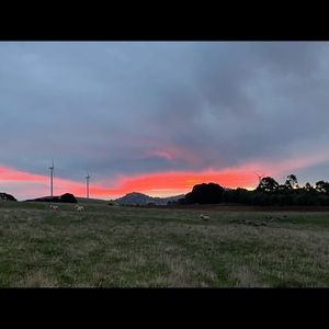 Meet your Posher, Maureen